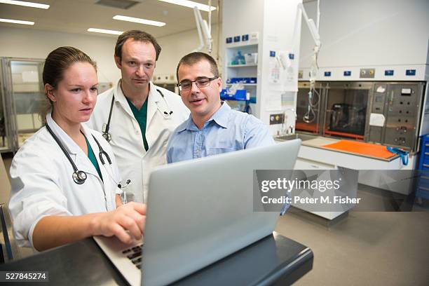 Vets Using A Computer 460 Vet Computer Screen Stock Photos, High-Res Pictures, and Images ...