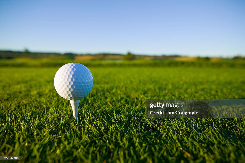 Golf Ball Resting on Tee
