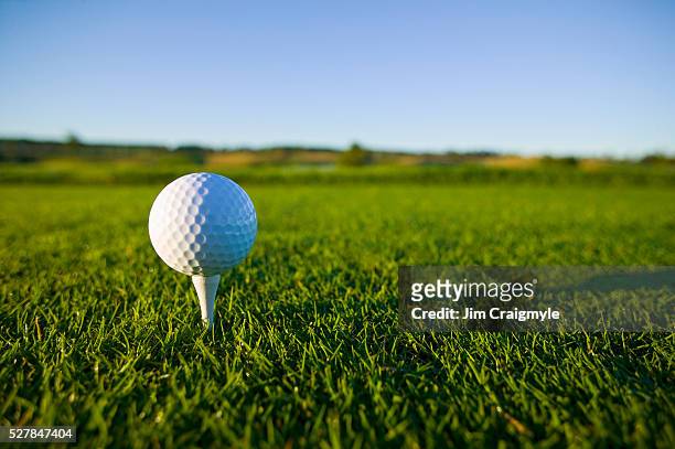 golf ball resting on tee - green de golf imagens e fotografias de stock