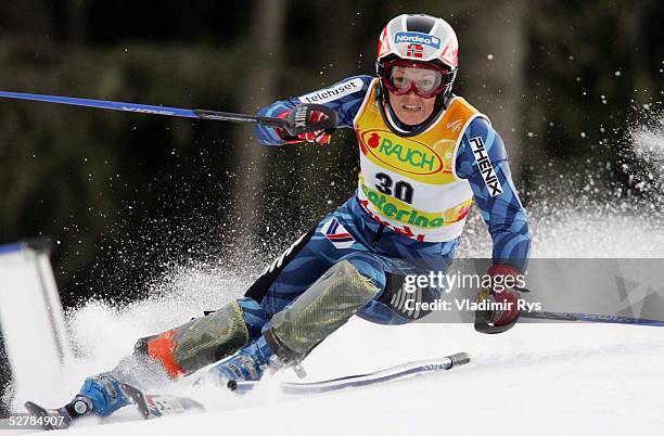 Jacob Rognmo 29 Skisportlerin Trine Bakke Fotos und hochauflösende Bilder - Getty Images