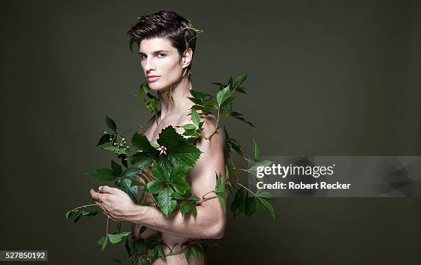 portrait of young man overgrown with vine - hair part stock-fotos und bilder