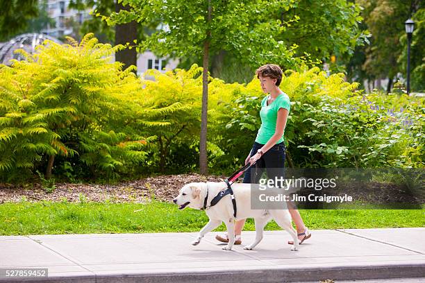 guide dog leading young woman on city side walk. - blind woman stock pictures, royalty-free photos & images