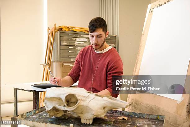 young artist sketching ram's skull in his studio - artists with animals stock pictures, royalty-free photos & images