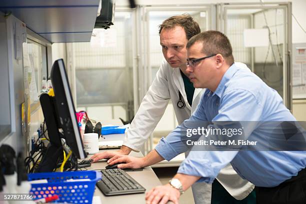 Vet Computer Screen Photos and Premium High Res Pictures - Getty Images