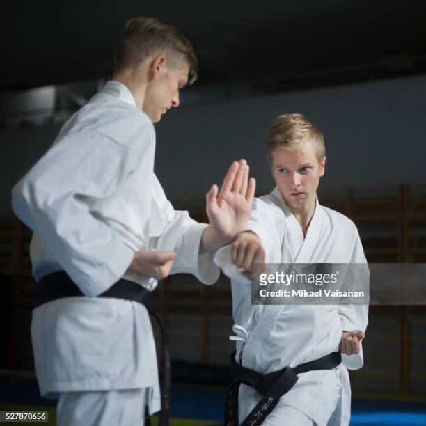 Karate Discipline Photos and Premium High Res Pictures - Getty Images