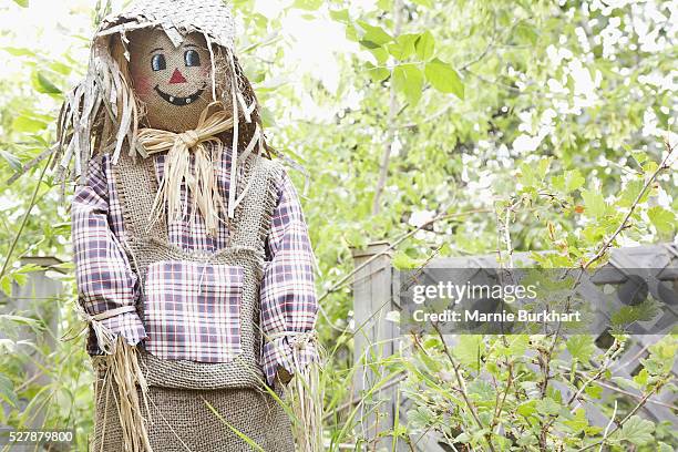 scarecrow in garden - scarecrow faces foto e immagini stock