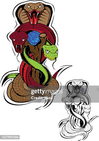 Snakes Snakes