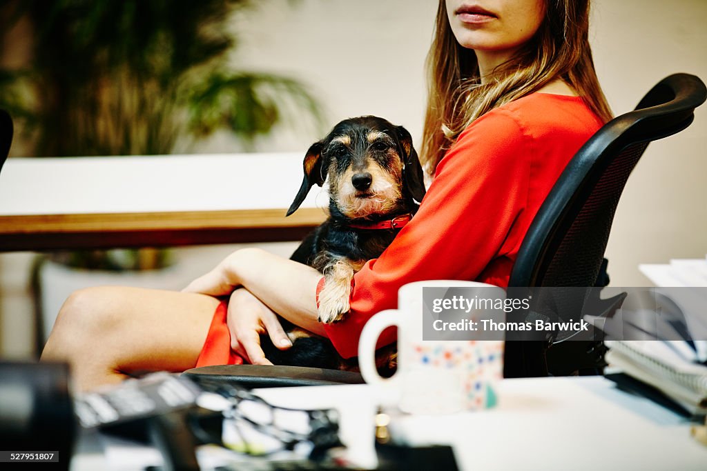 Businesswoman holding dog in lap in office