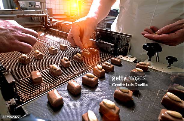 making belgium chocolates - chocolate factory stockfoto's en -beelden