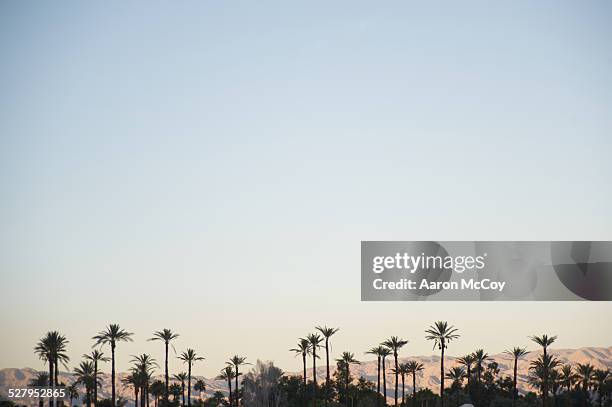 palms and hills - palm springs california stockfoto's en -beelden