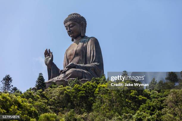 the worlds largest seated buddha on lantau island, hong kong. - grote boeddha stockfoto's en -beelden