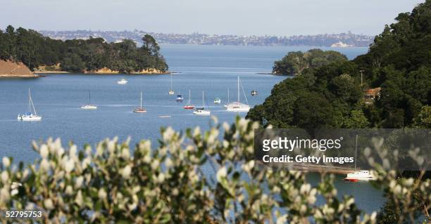 Bay on Waiheke Island which lies 5km east of residential Auckland May 11 Waiheke Island, New Zealand. Livestock are being examined at Waiheke Station...