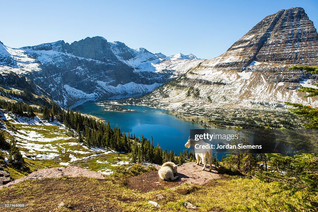 Scenic view of Glacier National Park.