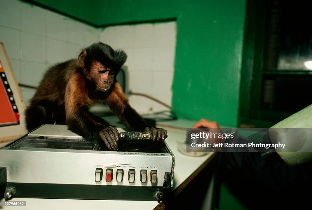 Monkey Placing Tape in Recorder