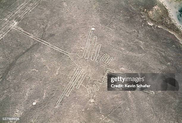 hummingbird figure, nazca lines - nazca lines stock-fotos und bilder