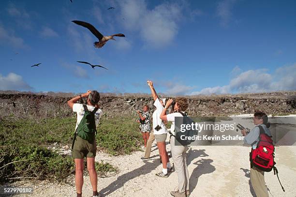 tourists watching red-footed boobies - sulidae stock pictures, royalty-free photos & images