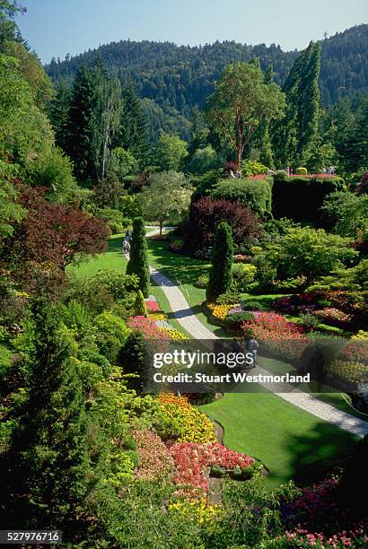 sunken gardens in summer - victoria canada photos et images de collection