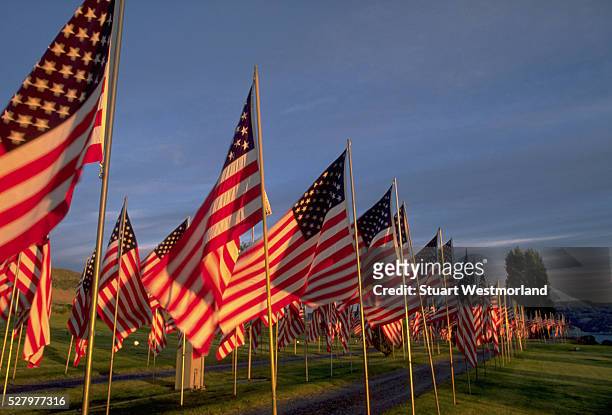 flags on memorial day - war memorial holiday stock pictures, royalty-free photos & images