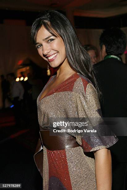 Ana Carolina da Fonseca during The 7th Annual Latin GRAMMY Awards - Official After Party at Sheraton Hotel in New York City, New York, United States.