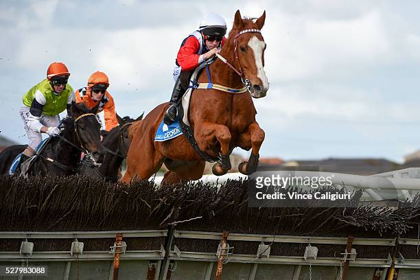 John Allen riding Gingerboy jumping the second last hurdle before winning Race 6, the Galleywood Hurdle during Brierly Day at Warrnambool Race Club...