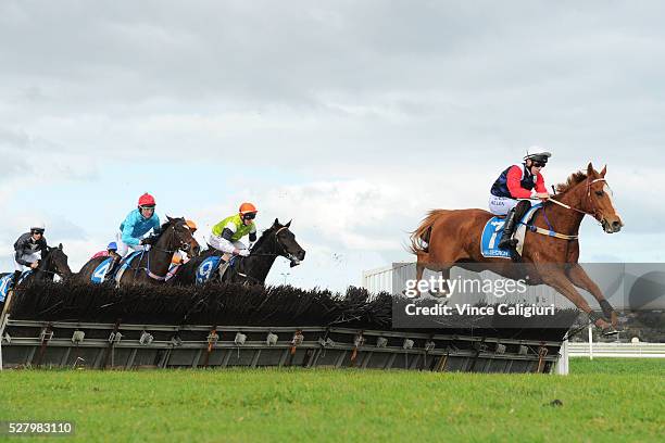 John Allen riding Gingerboy jumping the second last hurdle before winning Race 6, the Galleywood Hurdle during Brierly Day at Warrnambool Race Club...