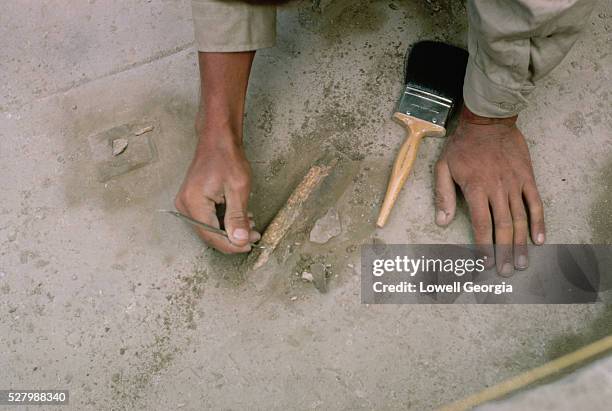 bones found during archaeological excavation - archeoloog stockfoto's en -beelden