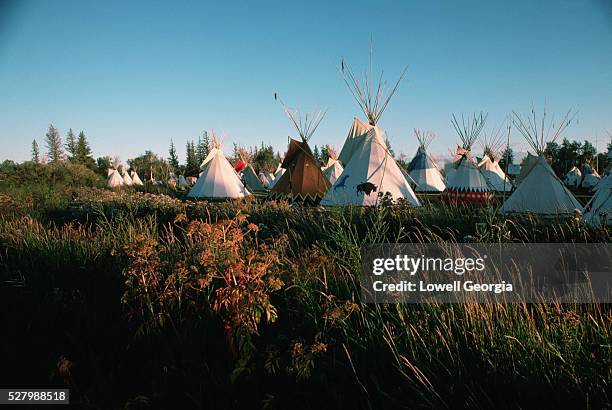 campsite of the american mountain men association - teepee photos et images de collection