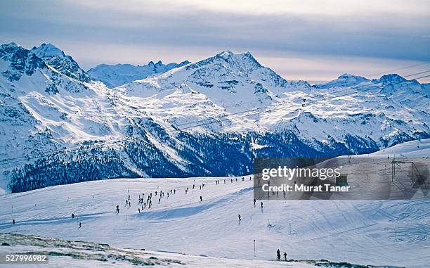 skiers on slopes - st moritz stock pictures, royalty-free photos & images