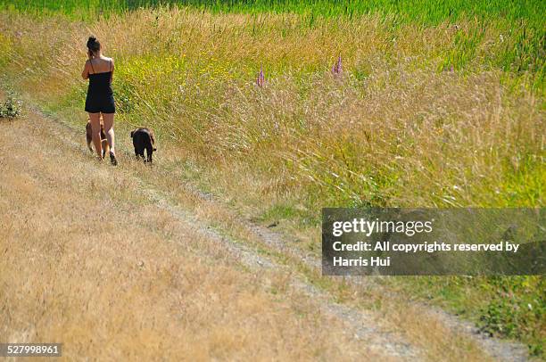 who let the girl out west dyke trail - richmond british columbia stock pictures, royalty-free photos & images
