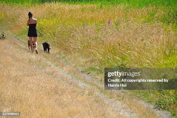 who let the girl out west dyke trail - richmond british columbia imagens e fotografias de stock