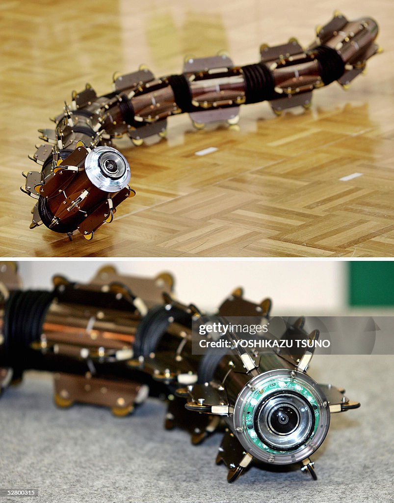 Acm R5 This combo picture shows the amphibious snake-like robot