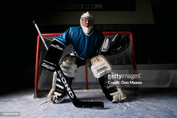 hockey goalie - difensore hockey su ghiaccio foto e immagini stock