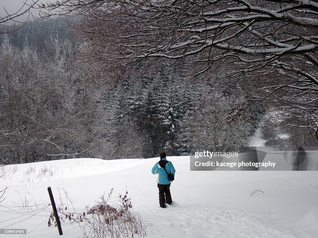 Walk In Deep Snow Person Walking In Deep Snow High-Res Stock Photo - Getty Images