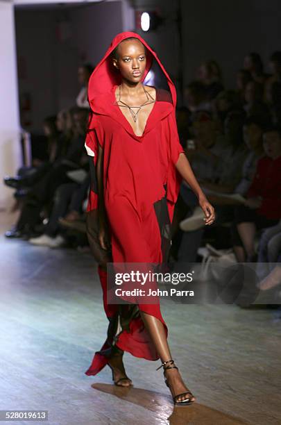 Jaunel McKenzie wearing Zaldy Spring 2006 during Olympus Fashion Week Spring 2006 - Zaldy - Runway at The Altman Building in New York City, New York,...