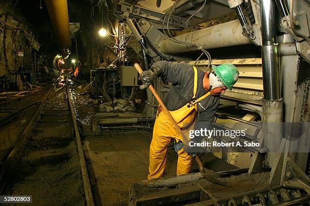 Mole Tunnel Photos and Premium High Res Pictures Biology Diagrams