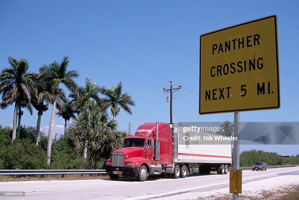 Highway Panther Crossing