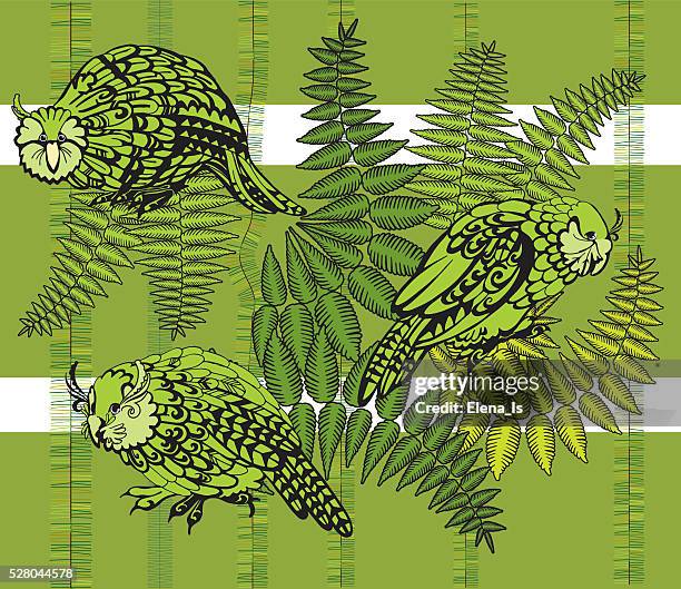 kakapo vector illustration - deutsche mark symbol stock illustrations