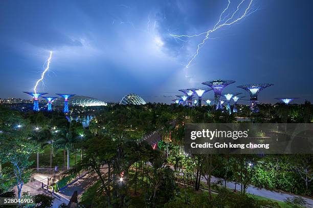 garden by the bay lightning storm - gardens by the bay stock-fotos und bilder