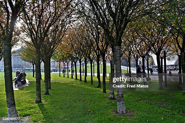 museumplein park - museumplein fotografías e imágenes de stock