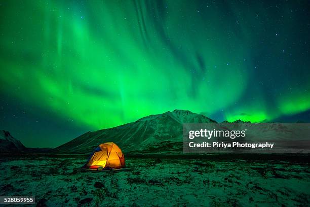 camping under northern lights - noorderlicht sterren stockfoto's en -beelden