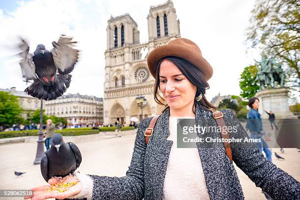 feeding pigeons at notre dame cathedral paris france - sassy paris stock pictures, royalty-free photos & images