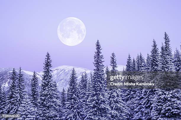 moonrise - full moon stock pictures, royalty-free photos & images