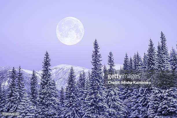 moonrise - winter solstice 個照片及圖片檔