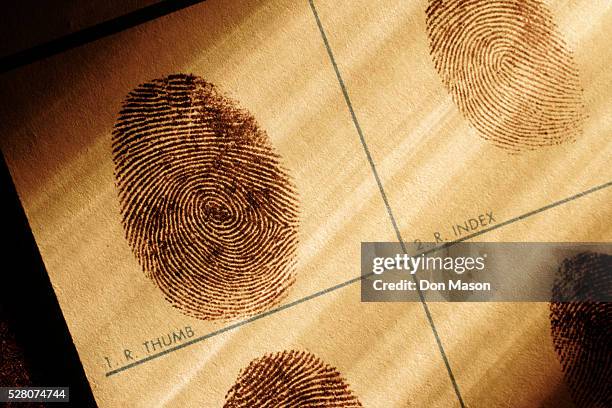 fingerprints chart - verbrechen stock-fotos und bilder