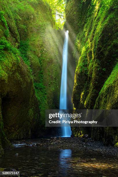 oneonta falls - portland oregon columbia river gorge stock pictures, royalty-free photos & images