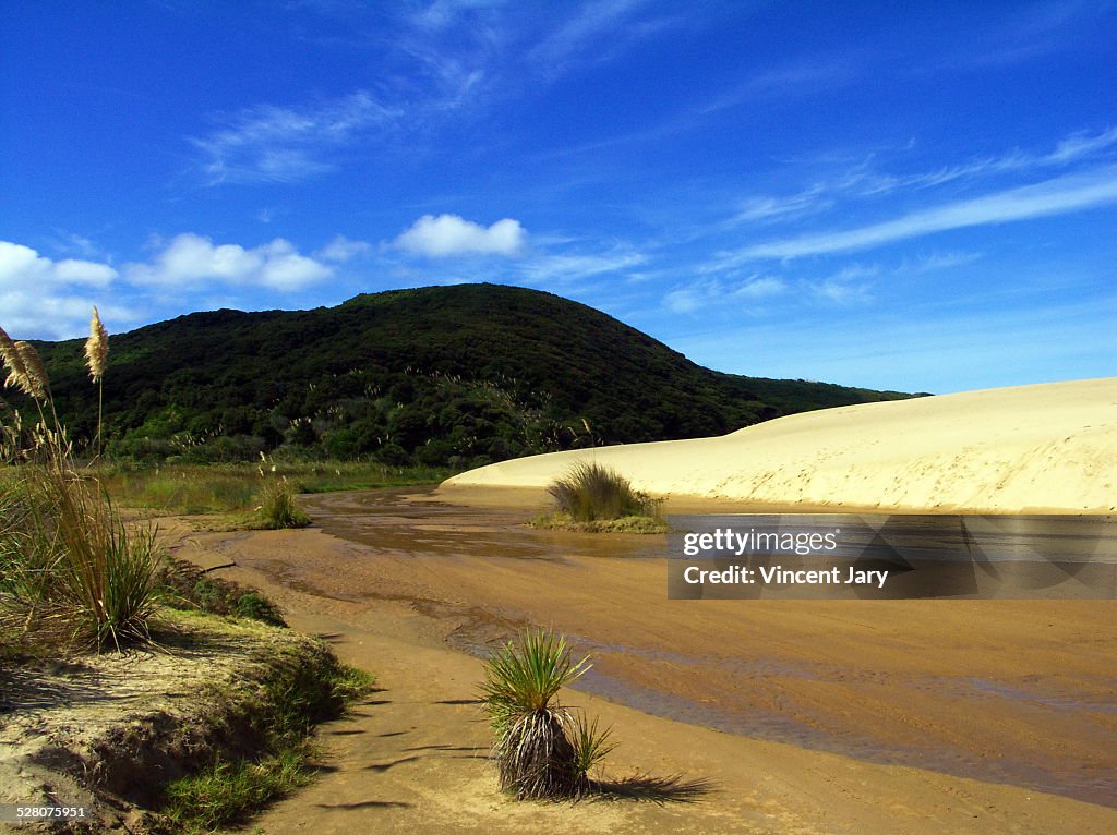 Sand landscape