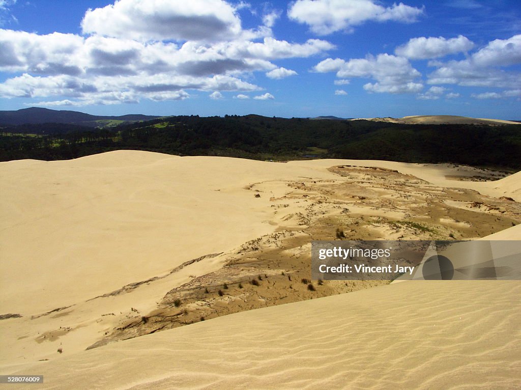 Sand dune landscape