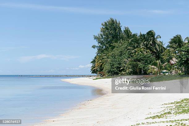 koh samui's beach - thailandia stock pictures, royalty-free photos & images