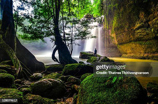 haewsuwat waterfall - khao yai national park stock pictures, royalty-free photos & images