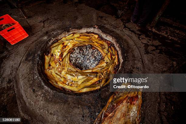 barbacoa preparation in mexico - hidalgo stock pictures, royalty-free photos & images